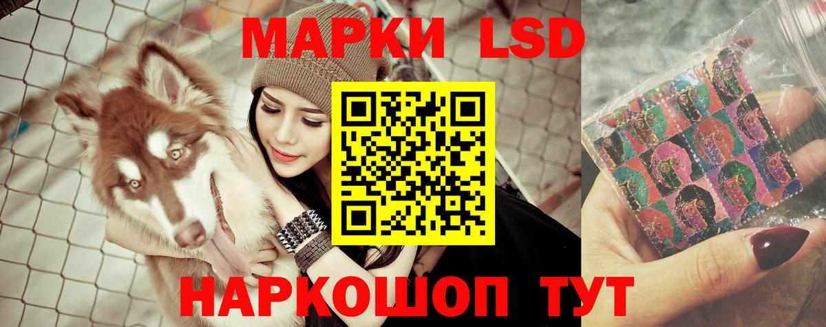 Лсд 25 экстази ecstasy  ЛСД экстази ecstasy  Вход с VPN  Канаш 